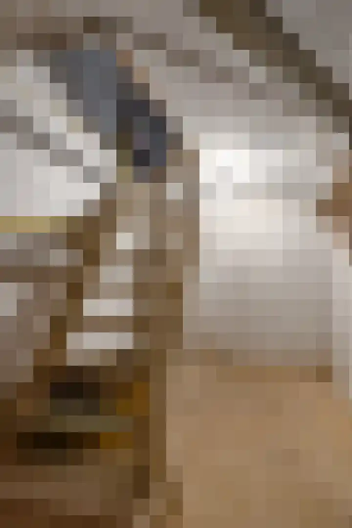 Mariastraat 9 Beek thumbnail 21
