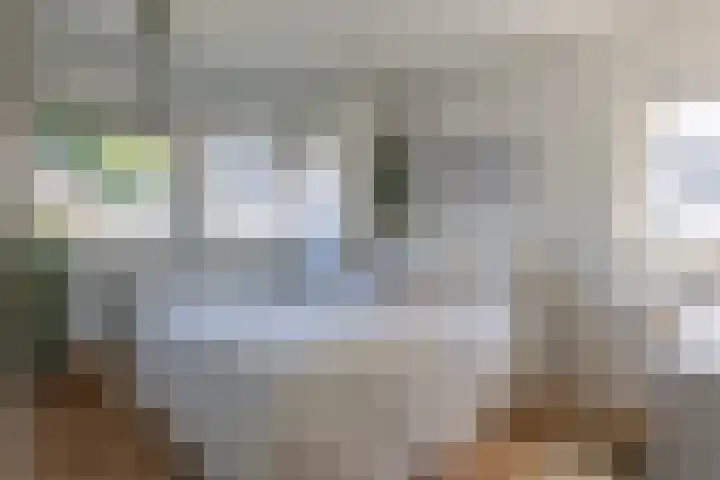 Mariastraat 9 Bussum thumbnail 21