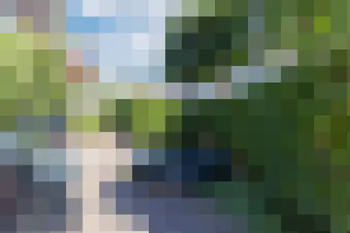 Mariastraat 9 Bussum thumbnail 35