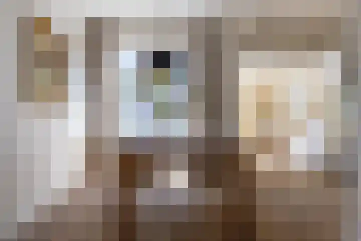 Mariastraat 9 Bussum thumbnail 7