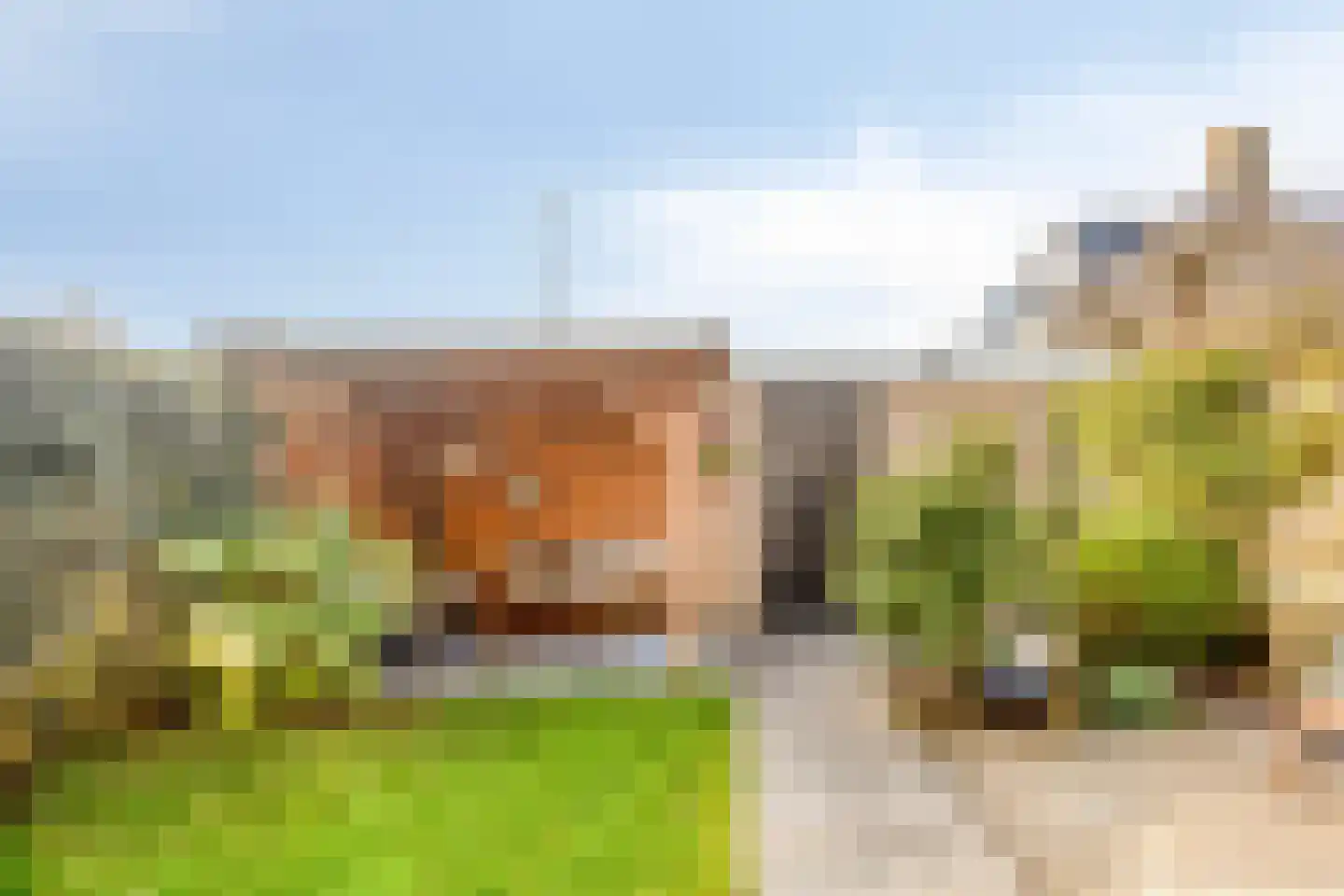 Mariënstein 101 Heiloo thumbnail 21