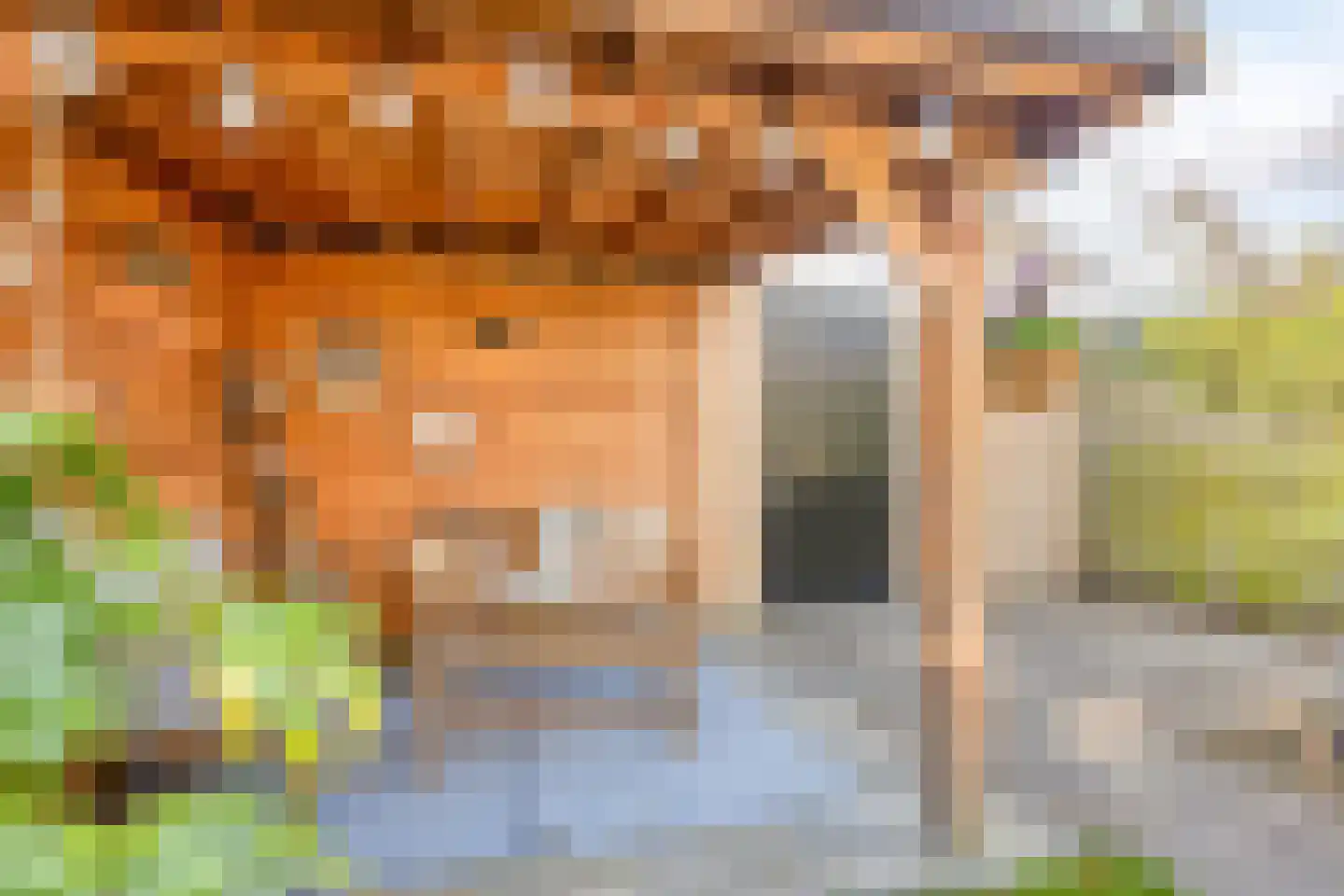 Mariënstein 101 Heiloo thumbnail 36