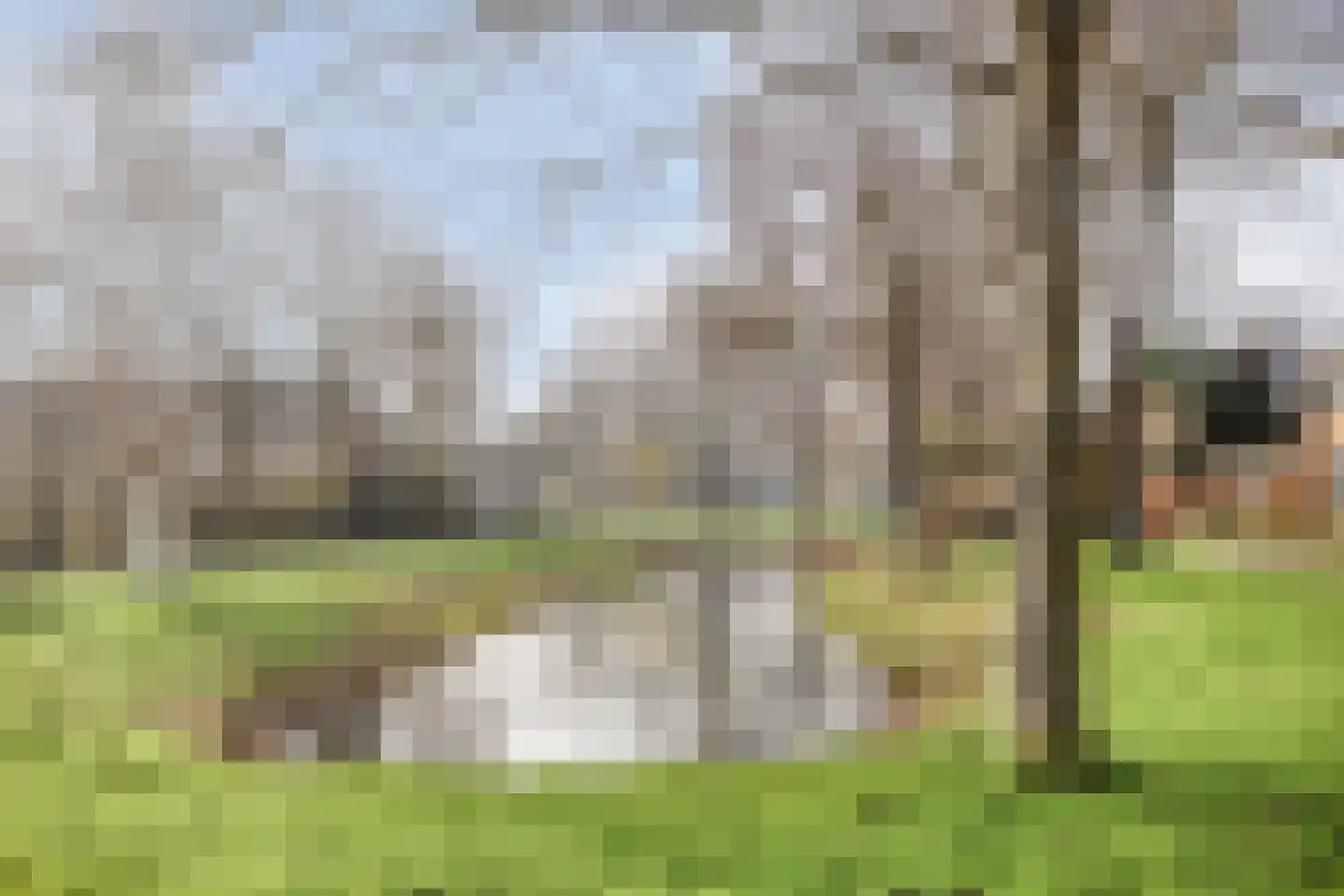 Mariënstein 101 Heiloo thumbnail 38