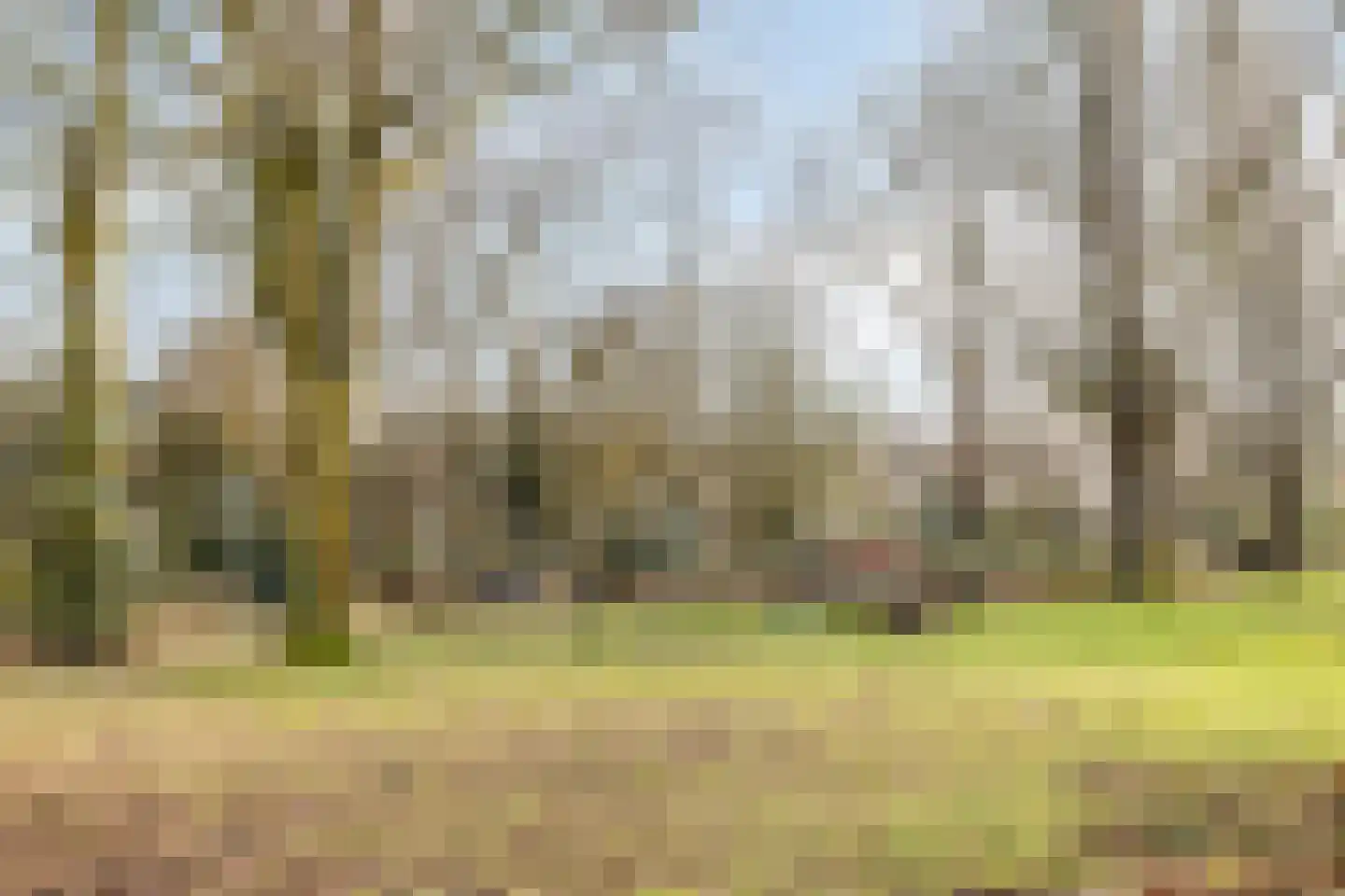 Mariënstein 101 Heiloo thumbnail 40