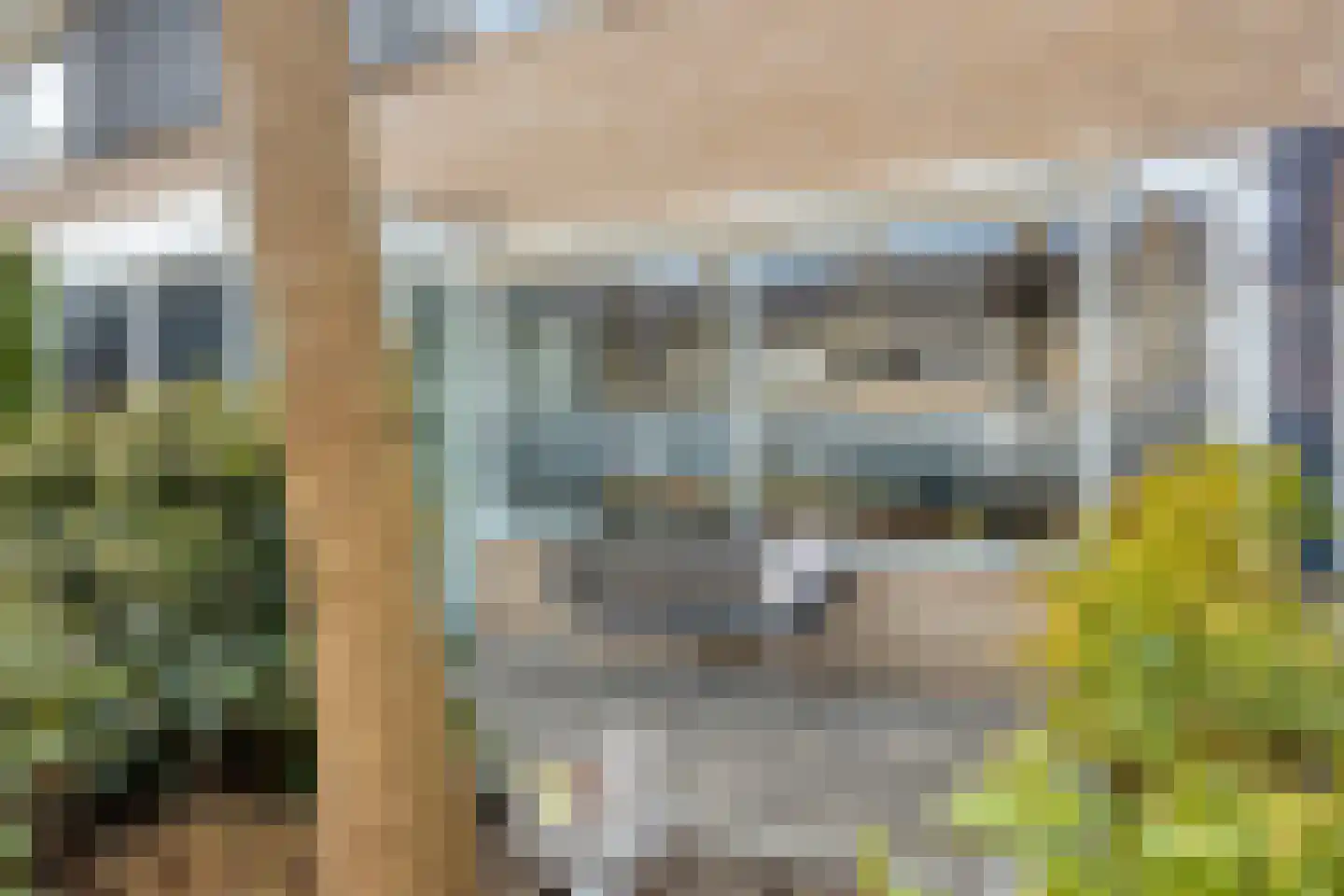Mariënstein 101 Heiloo thumbnail 5