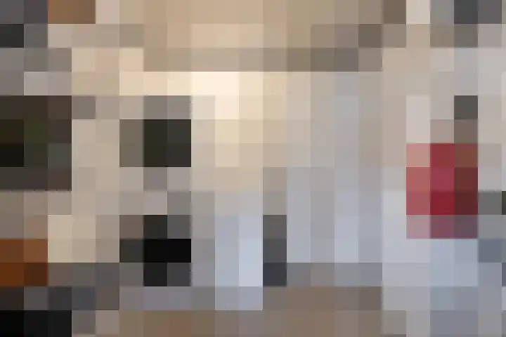 Mariënweerd 14 Cuijk thumbnail 19
