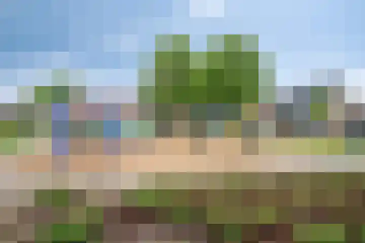 Mariënweerd 14 Cuijk thumbnail 38