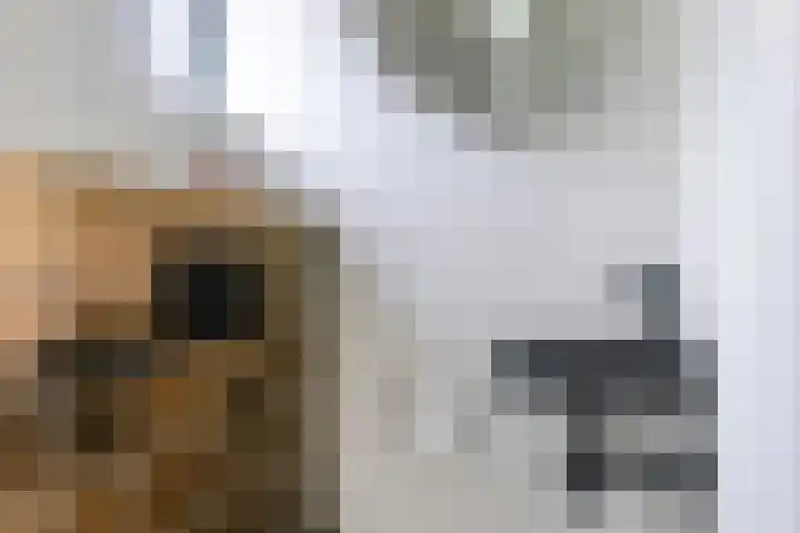 Mariënweerd 14 Cuijk thumbnail 9
