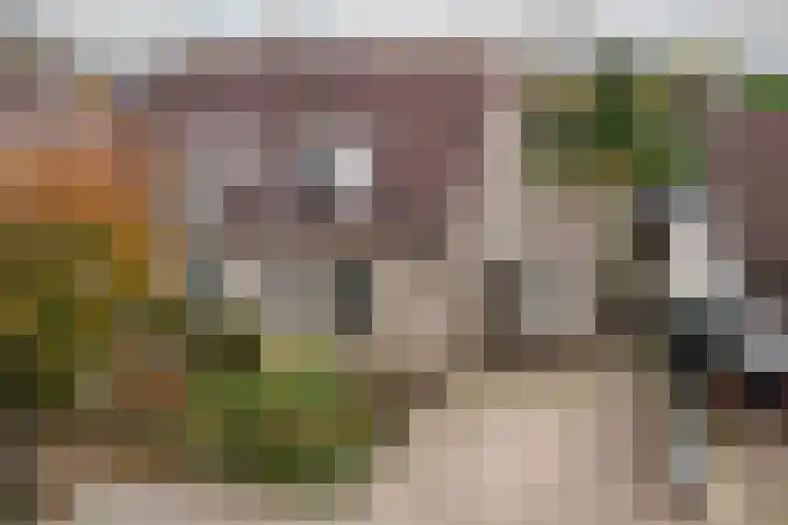 Mariënweerd 27 Weurt