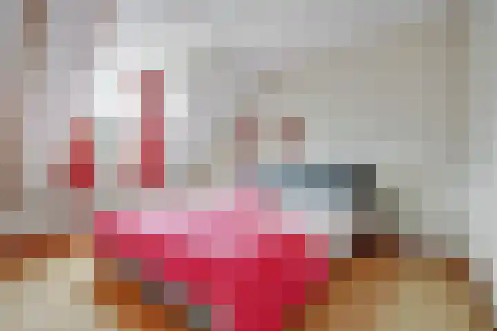 Mariënweerd 27 Weurt thumbnail 19