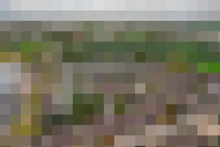 Mariënweerd 27 Weurt thumbnail 47