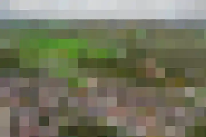Mariënweerd 27 Weurt thumbnail 48