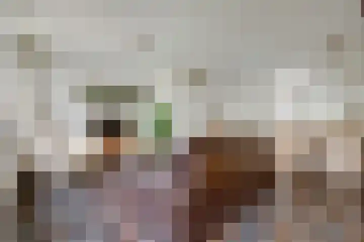 Mariënweerd 27 Weurt thumbnail 6