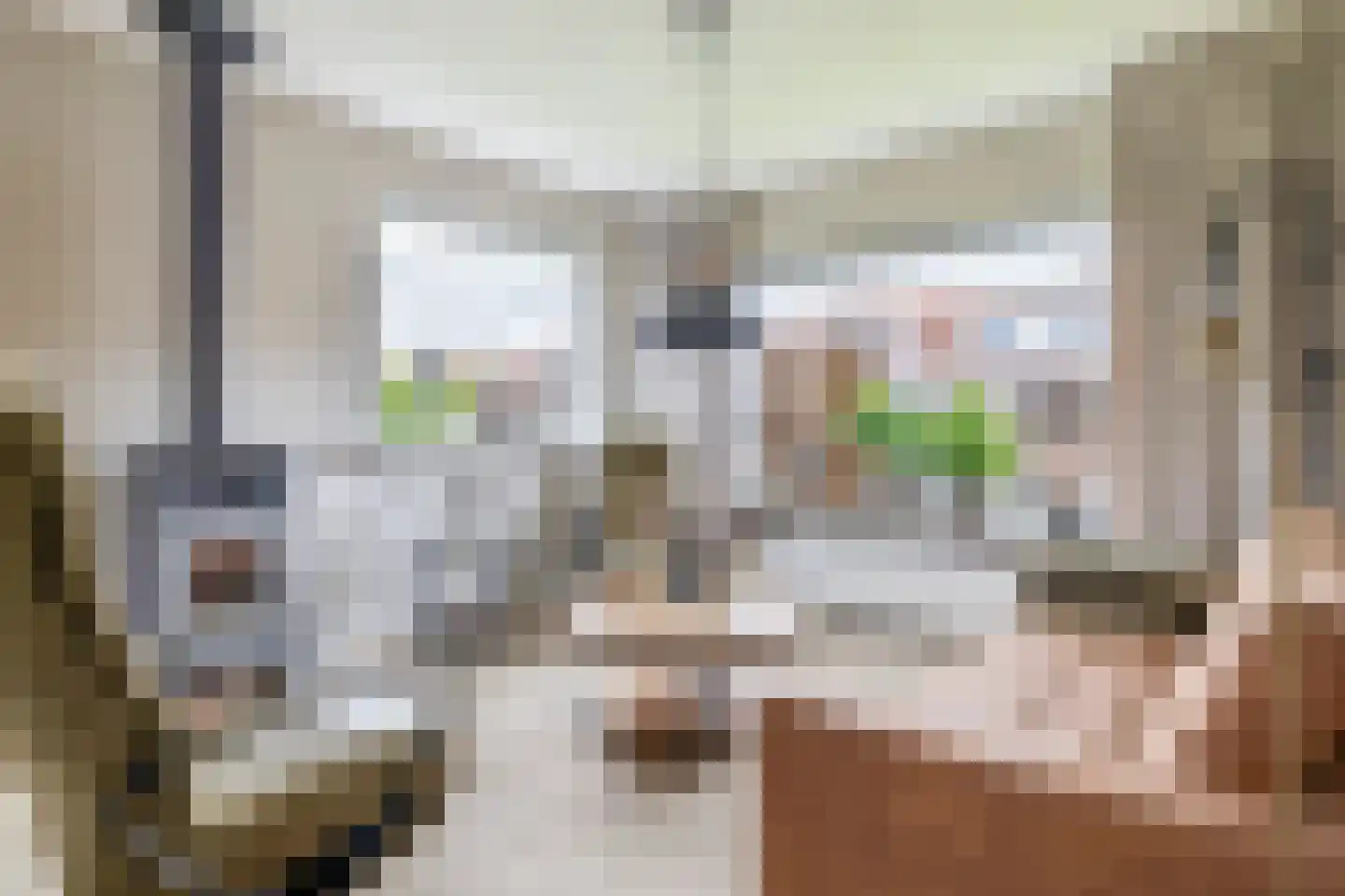 Marietjespad 18 Middelharnis thumbnail 11