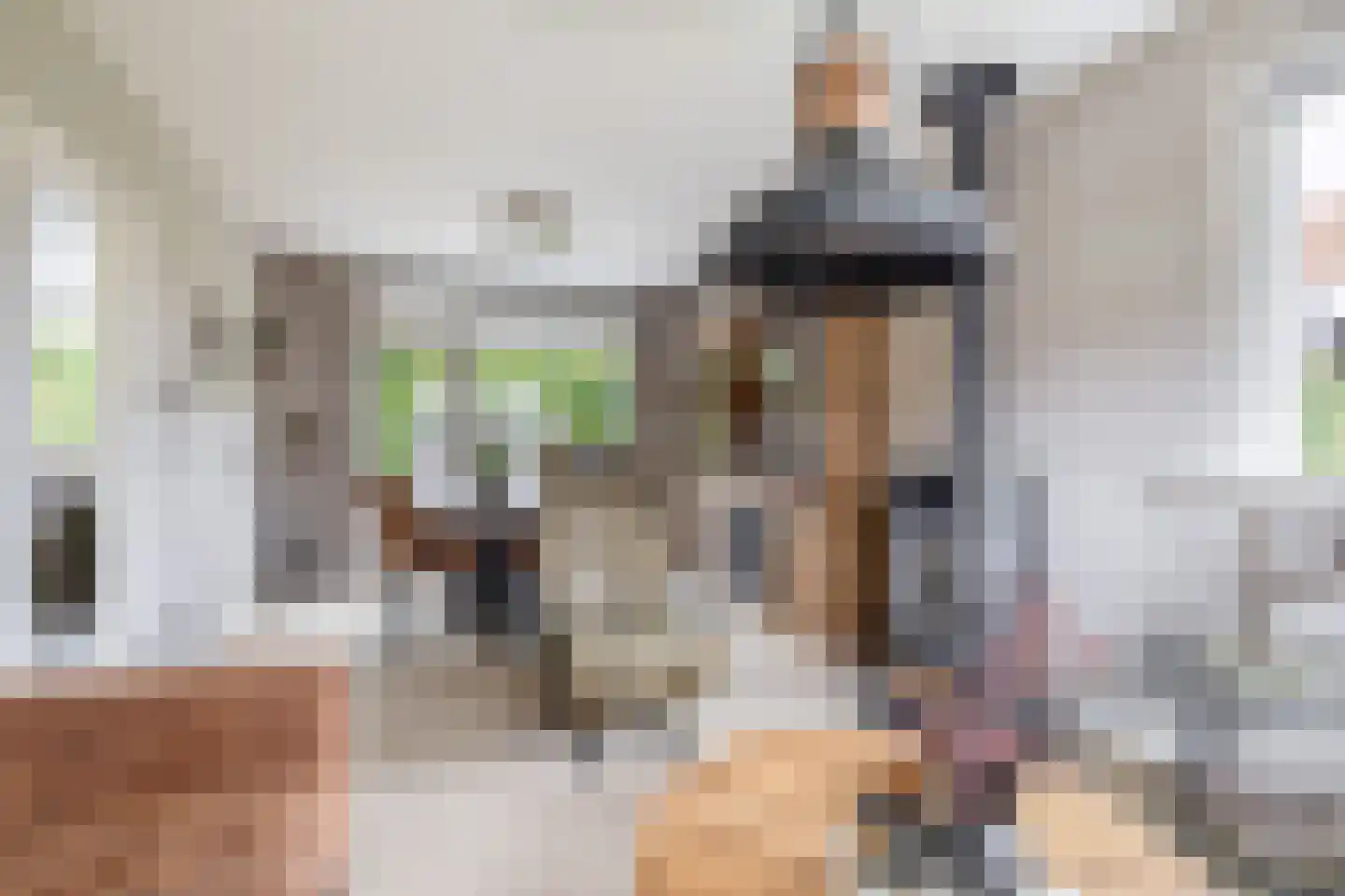 Marietjespad 18 Middelharnis thumbnail 13