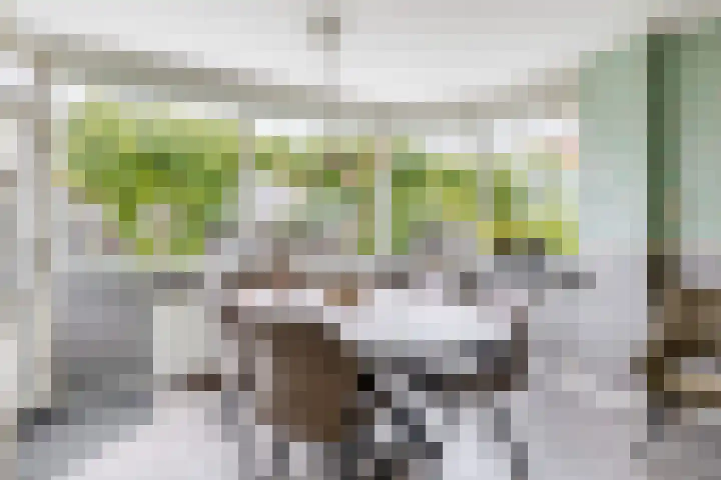 Marietjespad 18 Middelharnis thumbnail 17