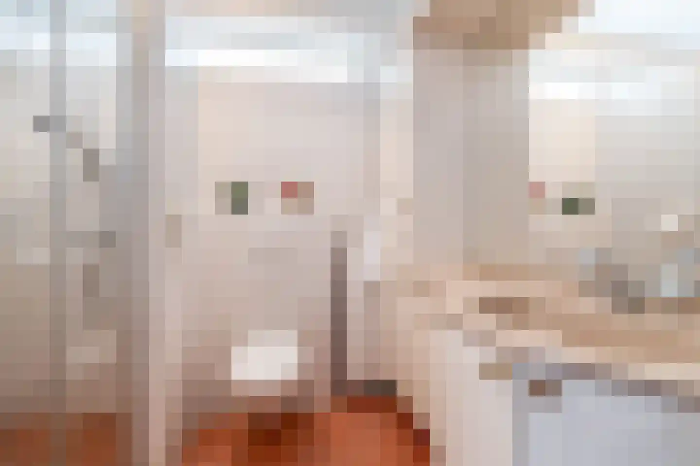 Marietjespad 18 Middelharnis thumbnail 20