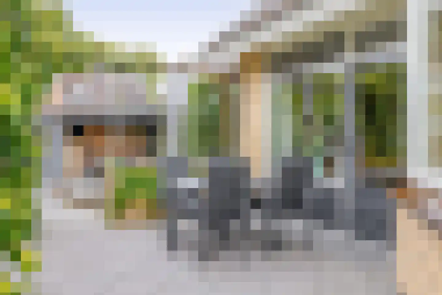 Marietjespad 18 Middelharnis thumbnail 30