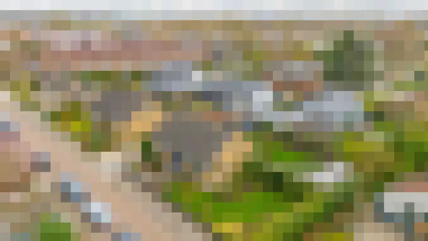 Marietjespad 18 Middelharnis thumbnail 4