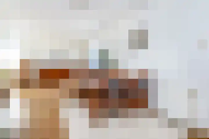 Marietjespad 26 Middelharnis thumbnail 11