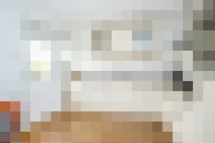 Marietjespad 26 Middelharnis thumbnail 13