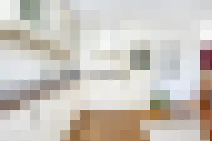 Marietjespad 26 Middelharnis thumbnail 14