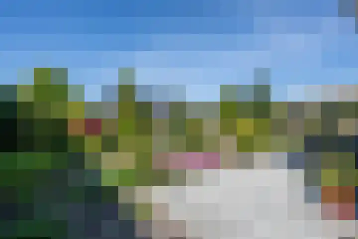 Marietjespad 26 Middelharnis thumbnail 31
