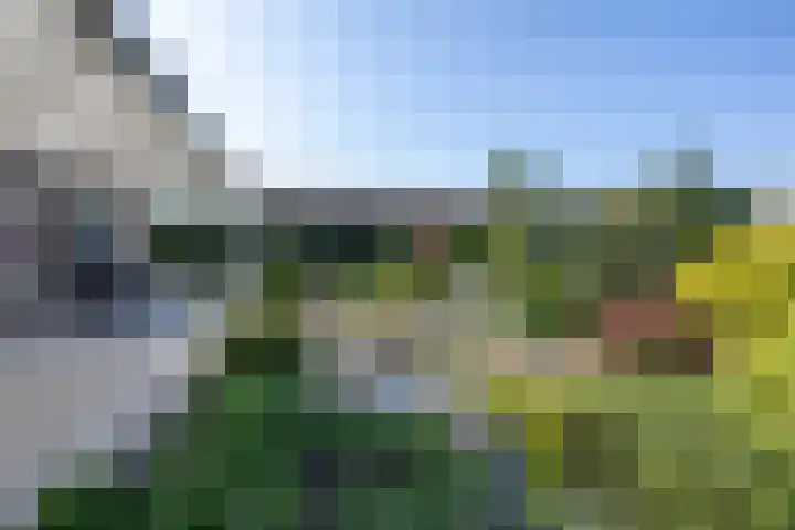 Marietjespad 26 Middelharnis thumbnail 32