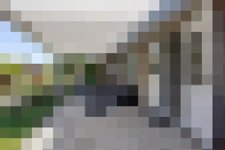 Marietjespad 26 Middelharnis thumbnail 35