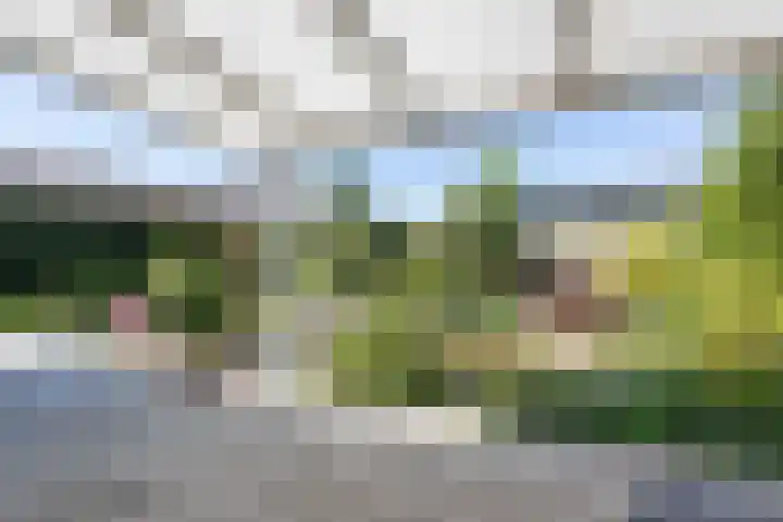 Marietjespad 26 Middelharnis thumbnail 36