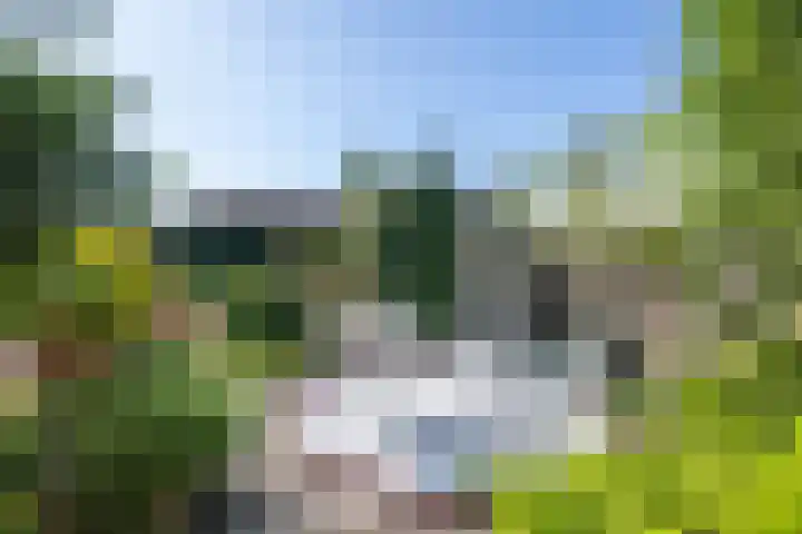 Marietjespad 26 Middelharnis thumbnail 39