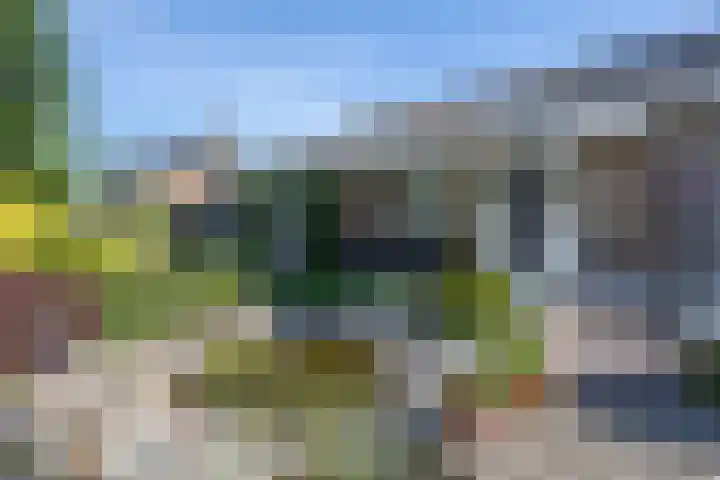 Marietjespad 26 Middelharnis thumbnail 40