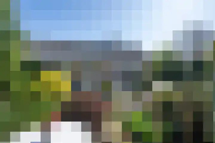 Marietjespad 26 Middelharnis thumbnail 43