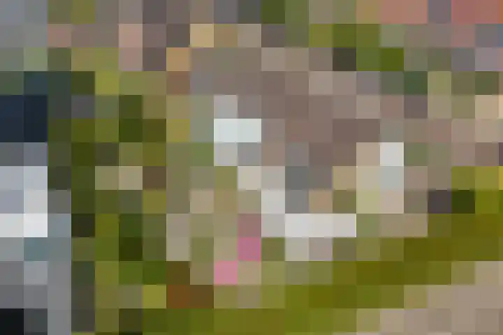 Marietjespad 26 Middelharnis thumbnail 44
