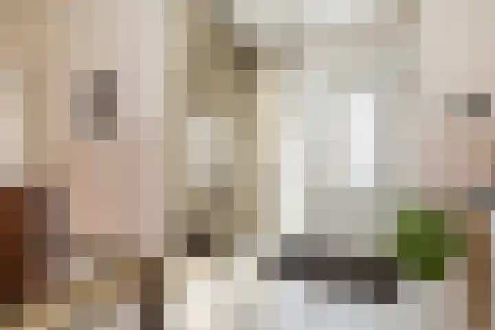 Marietjespad 26 Middelharnis thumbnail 6