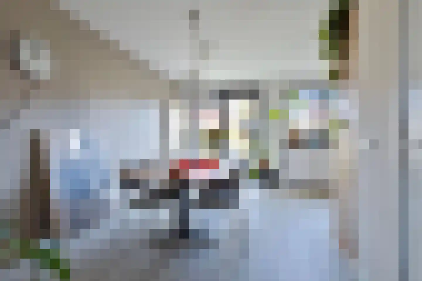 Marietjespad 33 Middelharnis thumbnail 14