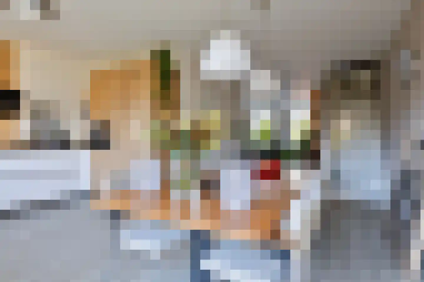 Marietjespad 33 Middelharnis thumbnail 15