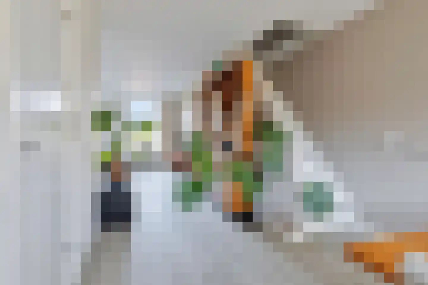 Marietjespad 33 Middelharnis thumbnail 17