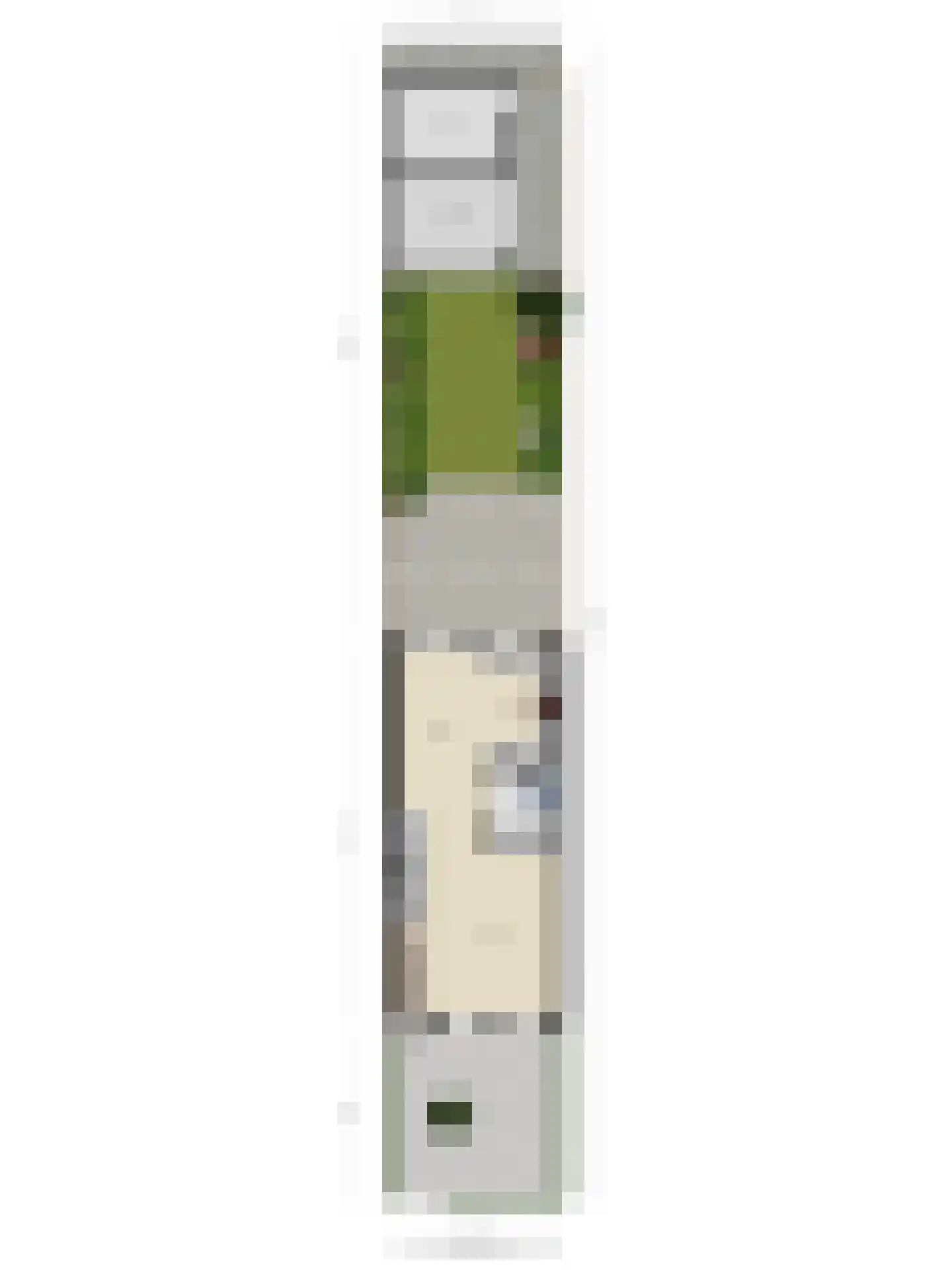 Marietjespad 33 Middelharnis thumbnail 37