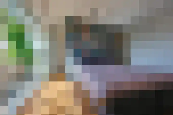 Marifoon 16 Almere thumbnail 15