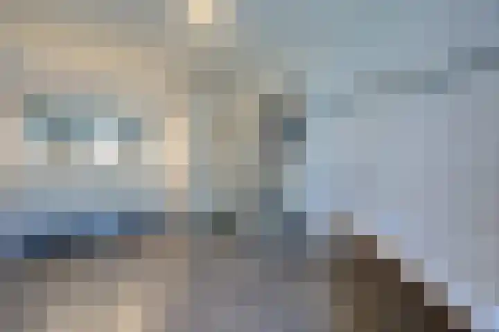 Marifoon 16 Almere thumbnail 18