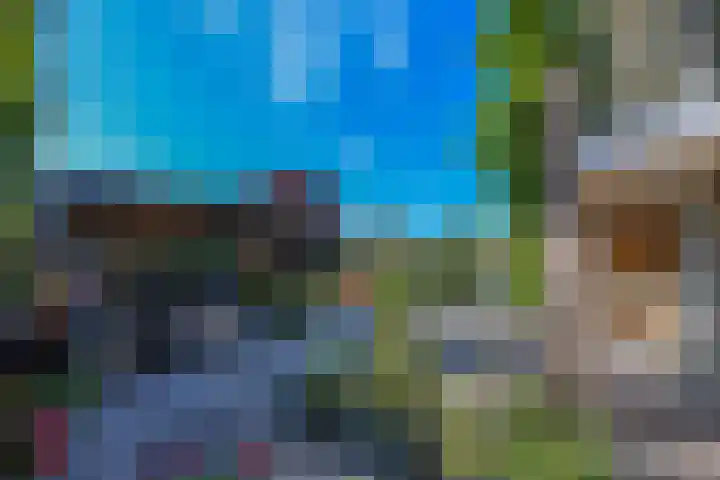 Marifoon 16 Almere thumbnail 24