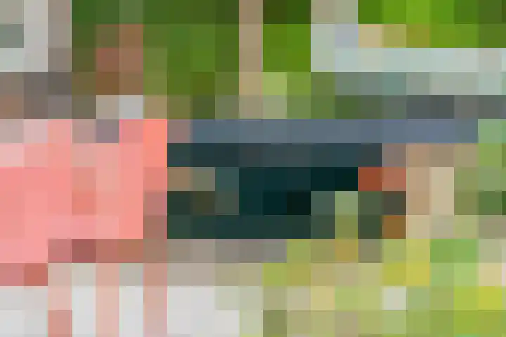 Marifoon 16 Almere thumbnail 30