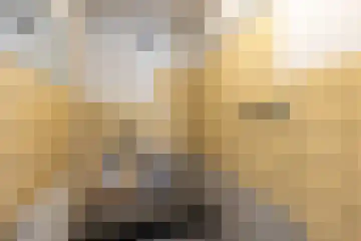 Marijkelaan 14 Sittard thumbnail 29