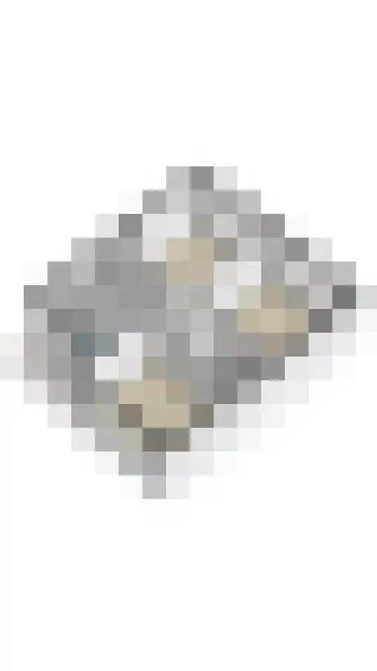 Marijkelaan 14 Sittard thumbnail 43