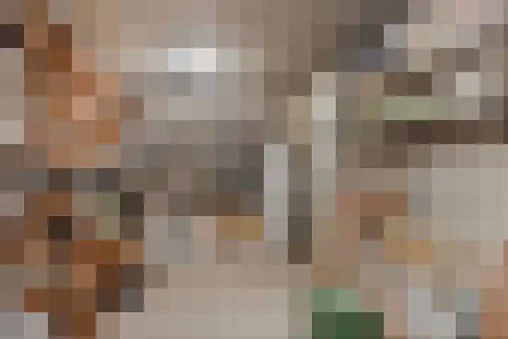 Marijkelaan 35 Melick thumbnail 34