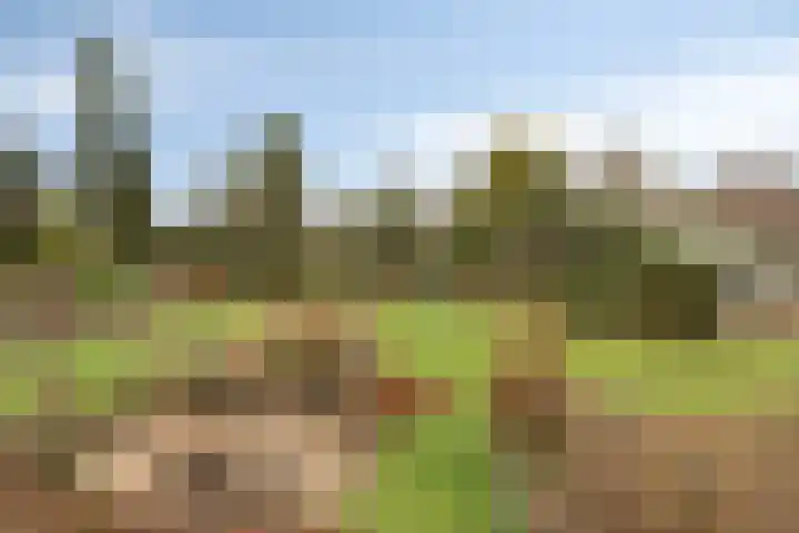 Marijkelaan 35 Melick thumbnail 38