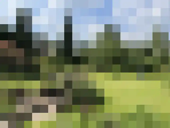 Marijkelaan 35 Melick thumbnail 42
