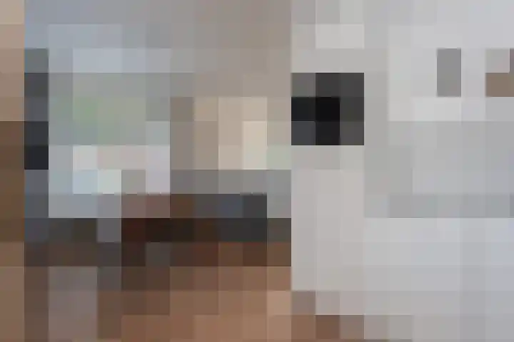 Marijkestraat 17 Veendam thumbnail 13