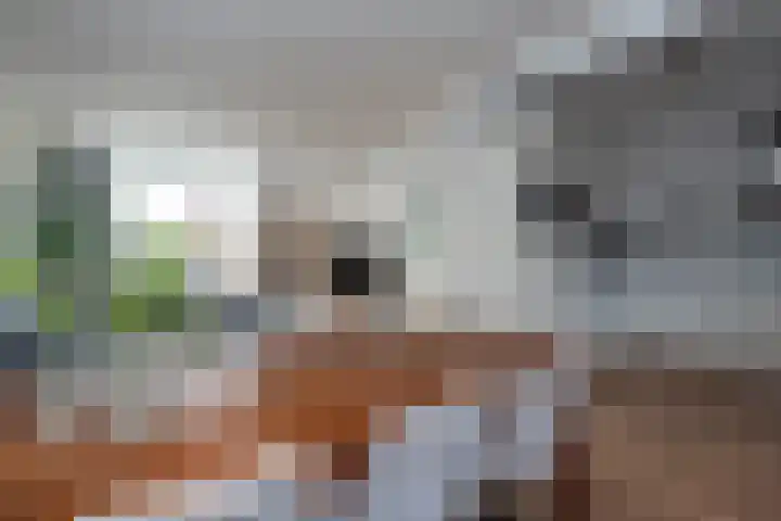 Marijkestraat 17 Veendam thumbnail 9